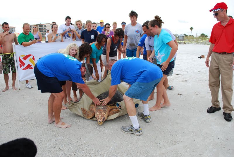 Isabella and Craig help the CMA staff release Betsi the Sea Turtle.