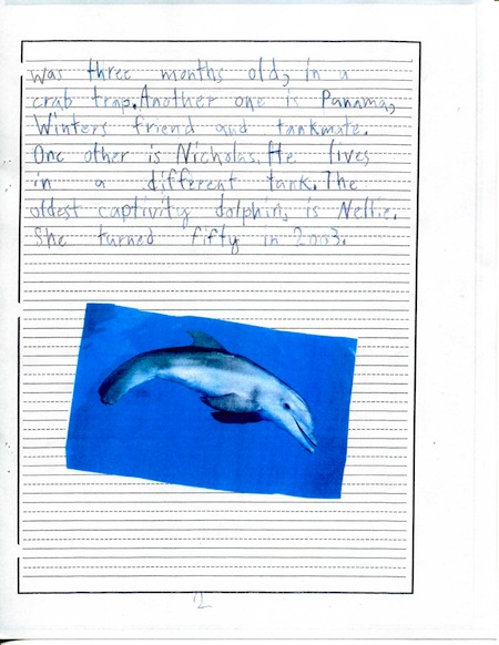 Adorable Dolphins Page 4